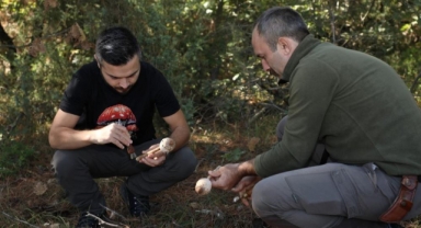 Türkiye’nin mantar avcıları İnegöl'de buluştu