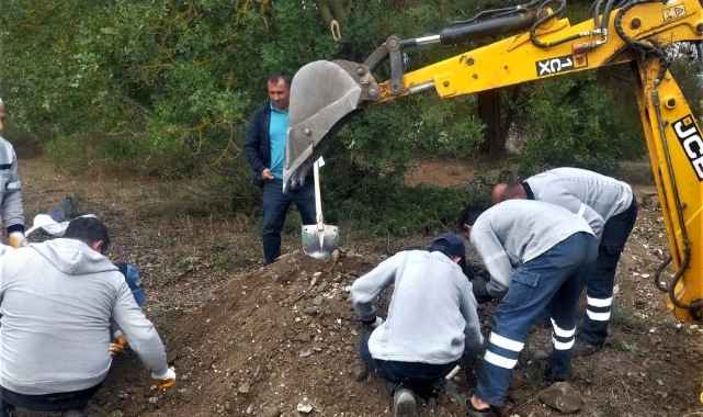 Yüzlerce mezar açılıp, kemikler tek tek taşındı