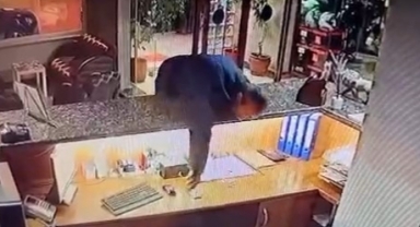 40 bin liralık telefonu zıplayarak böyle çaldı