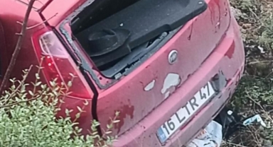 Bursa'da anne ve oğlu ölümden döndü
