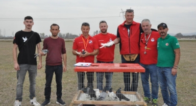 Güvercinlerin performansı tam not aldı