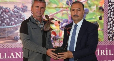 İznik’in bereketi, sağlık meyvesi aronya ile buluşuyor