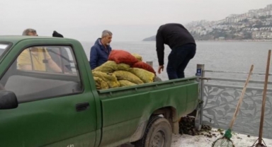 Kaçak midye avcılarına operasyon
