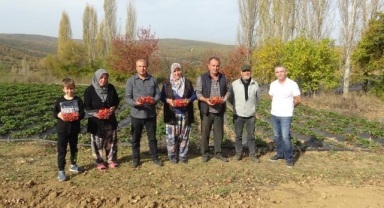 Köyde kadınların hayatı bir fide ile değişti