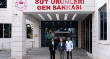 Matlı: