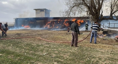 Saman balyaları cayır cayır yandı