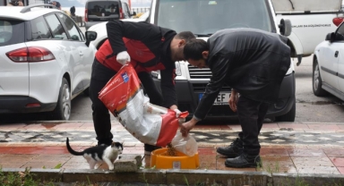 Sokaktaki canlar mamaya kolayca ulaşıyor