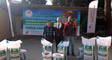 Un fiyatlarının düşmesi için buğday ekilen alanlar artıyor