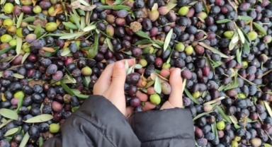 Üretimin yarısı ihracata gidiyor