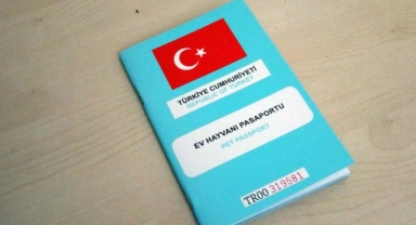 Yasal süre 31 Aralık'ta doluyor