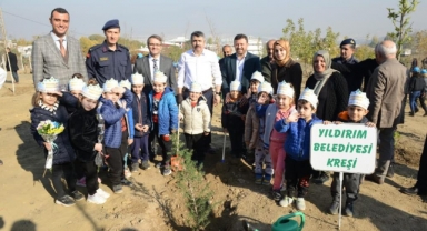 Yıldırım’da 225 bin 250 ağaç kurtarıldı