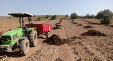 Bursalı çiftçi hayvan gübresini tercih ediyor
