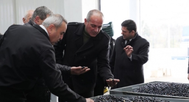 Gemlik Belediyesi’nden bilimsel tarım hamlesi