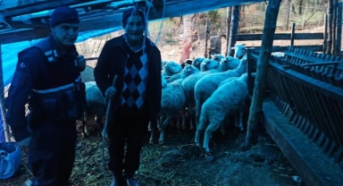 Koyunları kaybolan kadının yardımına jandarma yetişti