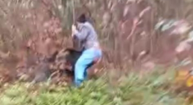 Odun kesmeye gitti domuzun saldırısına uğradı