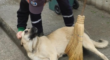 Temiz görevlisine hergün kendini temizletiyor