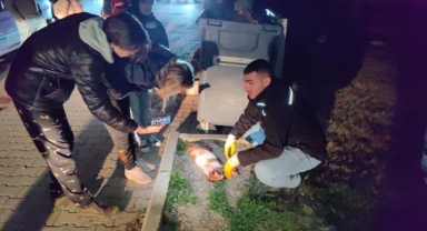 6 ayda 6 kedisi öldürülen kadının gözyaşları