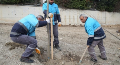 Nilüfer’de ağaçlandırma çalışmaları başladı