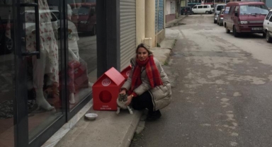 Orhangazi Belediyesi'den can dostlara Sıcak Yuva