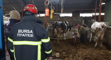 Bursa itfaiyesi gece yangında gündüz ahırda
