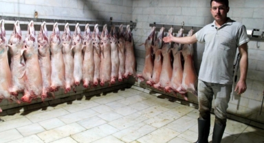 Hayvan üreticileri kuzularını keserek bağış yapıyor