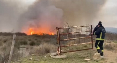 İznik Gölü'nde sazlık alanda korkutan yangın
