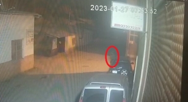 Lüks araçların farlarını çalan şüpheli yakalandı