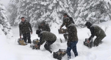 Uludağ Milli Parkı'nda yaban hayvanları unutulmadı