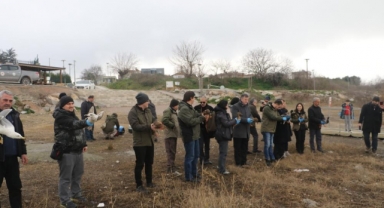 Yaralı ve mühre ördekler özgürlüklerine kavuştu