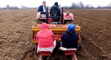 10 bin dekarlık alanda patates ekimi yapılıyor