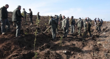 Depremde hayatını kaybedenlerin anısına 8 bin fidan dikildi