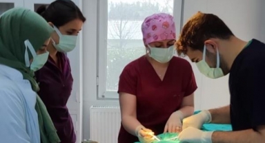 Veteriner fakültesi öğrencilerine uygulamalı eğitim