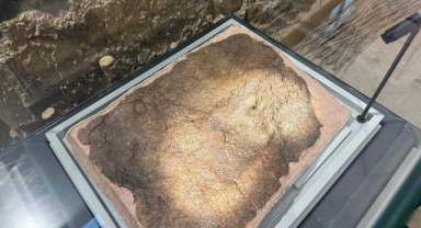 8 bin yıllık ayak izi ilk kez sergilendi