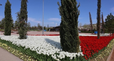 Baharın tüm renkleri Bursa’yı sardı