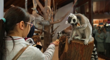 Bayramın neşesi, Hayvanat Bahçesi’nde yaşanacak
