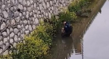 Dereye düşen köpeğin imdadına itfaiye yetişti