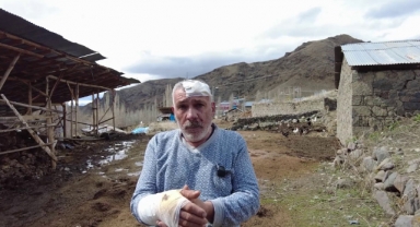 Erzurum'da kurt dehşeti: 5 yaralı