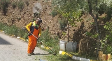 Gemlik’te bahar mesaisi