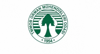 TMMOB'un gezi direnişi açıklamasına Orman Mühendislerinden tepki
