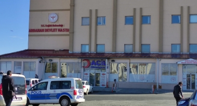 Ardahan'da yıldırımın isabet ettiği genç hayatını kaybetti