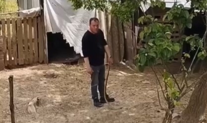 Bahçesine giren yılanı elleriyle yakaladı