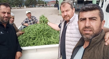 Bursa'da nazende fasulye çıktı