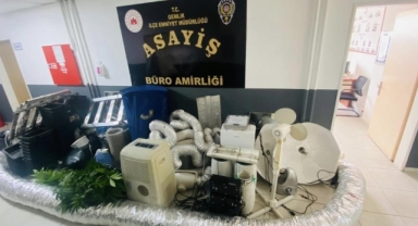 Evini uyuşturucu serasına çeviren şüpheli gözaltına alındı