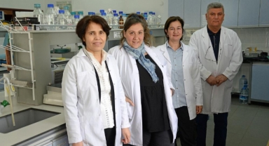 Genom düzenleme teknolojisi havuçta başarıyla uygulandı