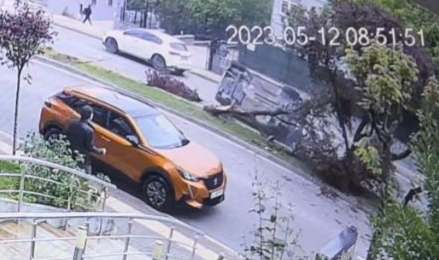 Kontrolden çıkan otomobil ağaçları devirdi