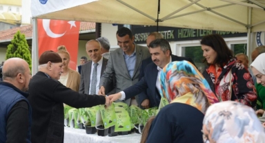 Yıldırım Belediyesi'nden 25 bin fide