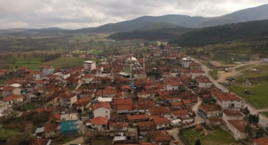 Ağalık yarışında kuzu rekor fiyata satıldı