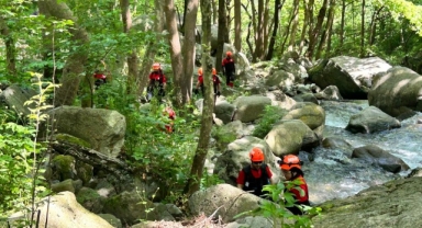 Bitki toplamak için çıktığı Uludağ'da kayboldu
