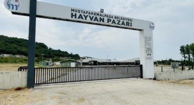 Bursa'daki hayvan pazarlarında şap karantinası