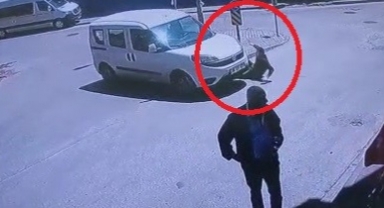 Çarptığını fark etmedi, üzerinden geçti